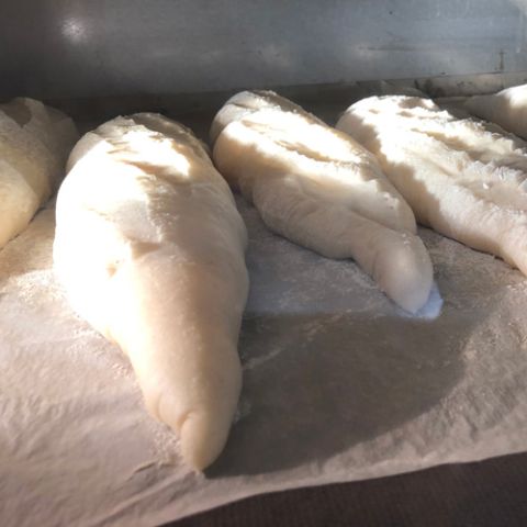 Loaves ready from the oven